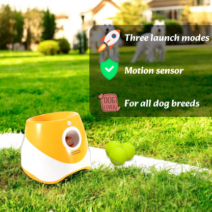 Lanzador automático de pelotas de tenis para perros Dogs Chase - 6 bolas 